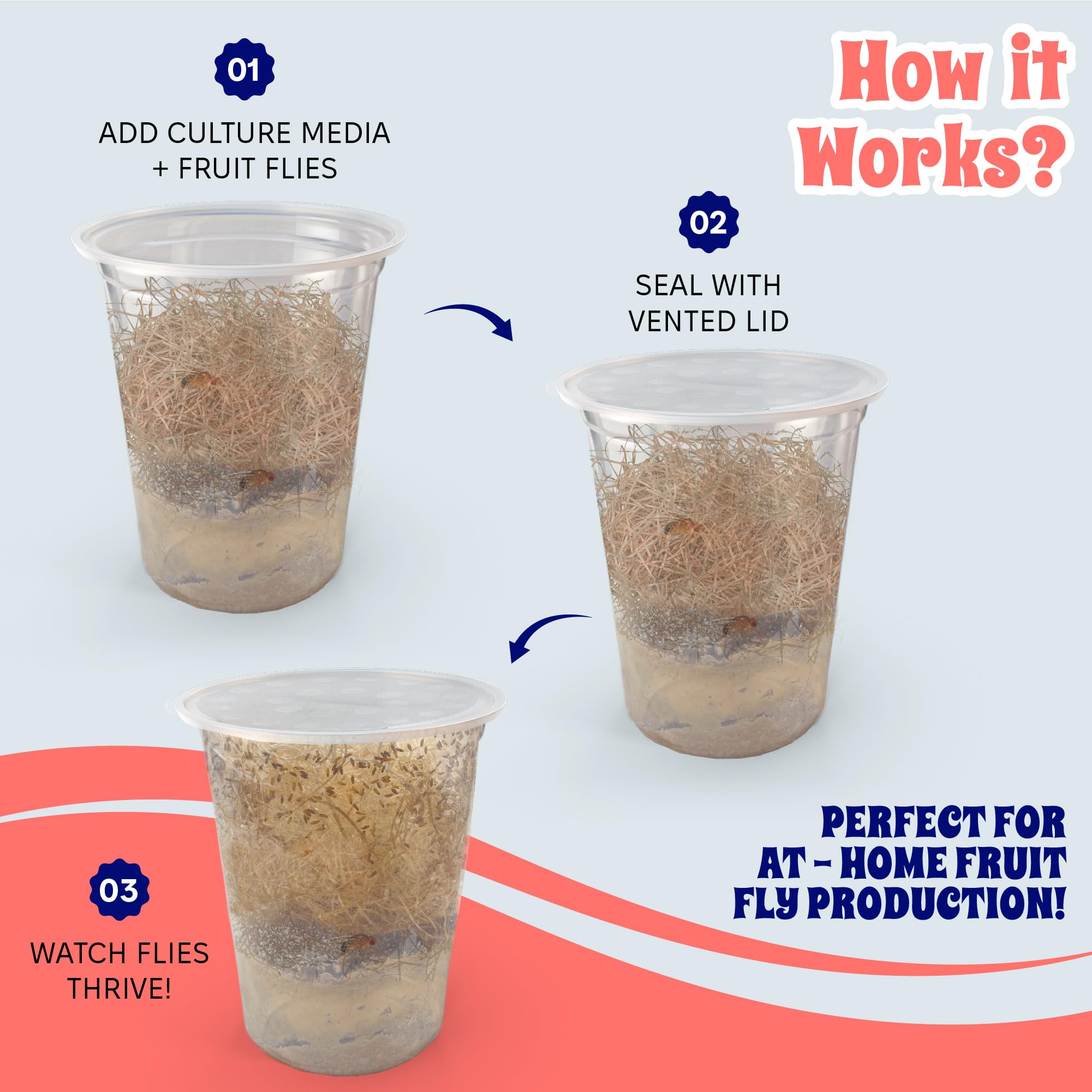 Snout and Shell deli cups enable hot-liquid media preparation with durable design.