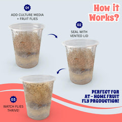 Snout and Shell deli cups enable hot-liquid media preparation with durable design.