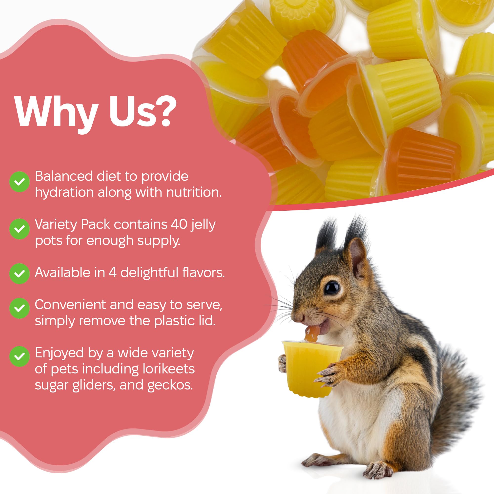 Snout and Shell hydration-friendly jelly pods support insect and pet hydration.