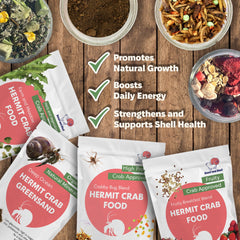 Snout and Shell Fruity Breakfast Blend bowl highlights colorfully coated bites for daily foraging variety.