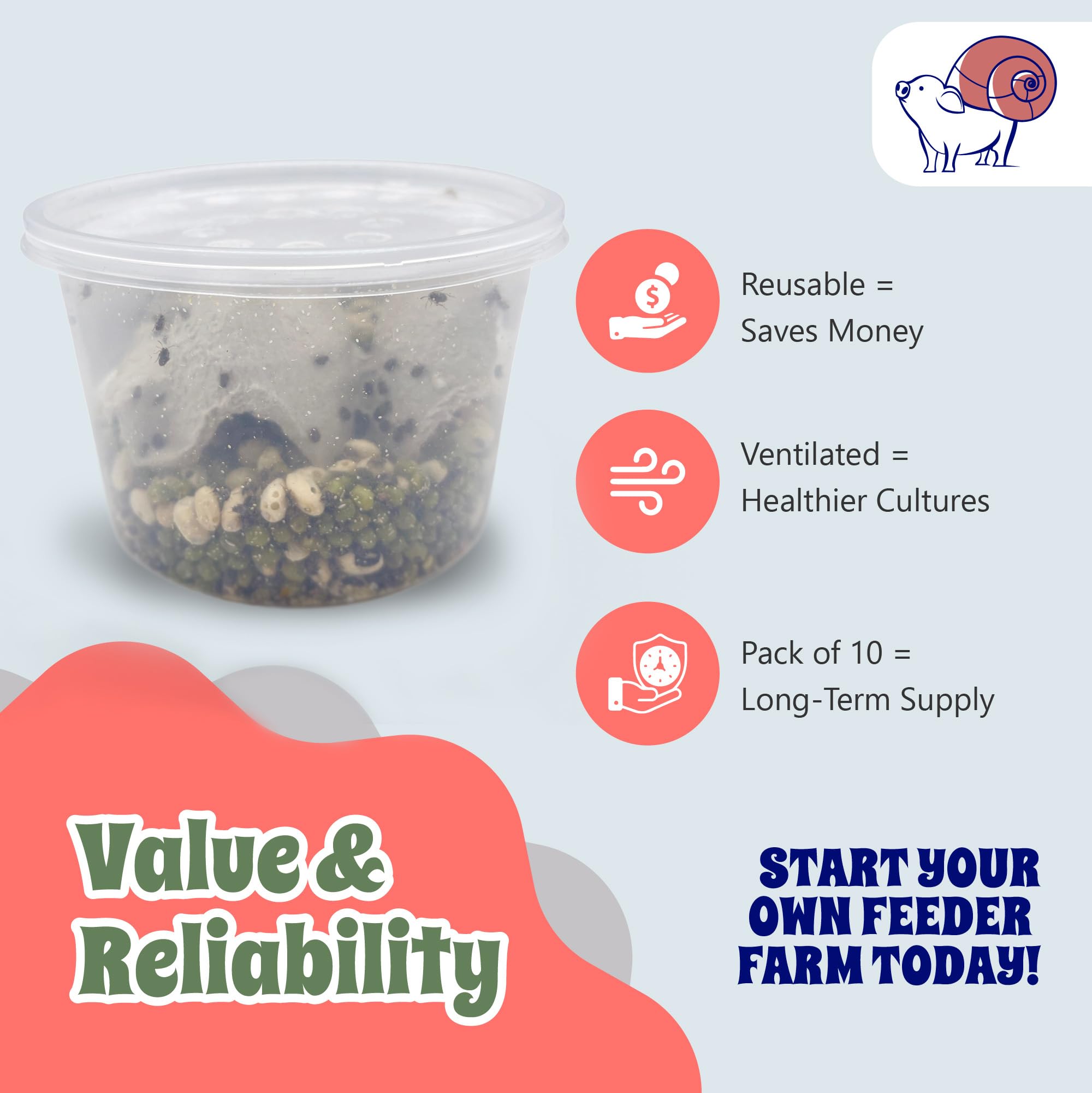 Snout and Shell fruit fly culture setup using breathable lids.