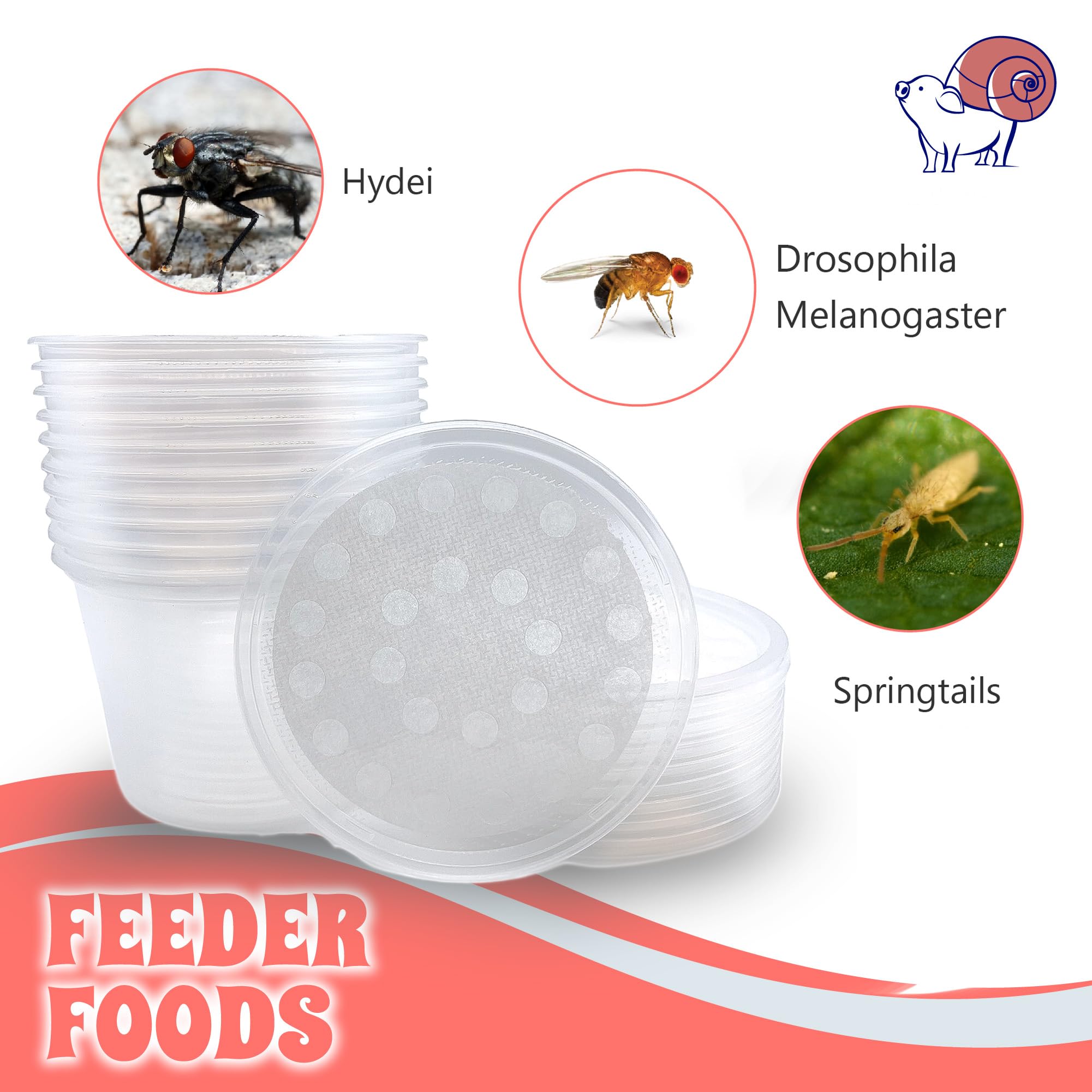 Snout and Shell polypropylene cups—bug safe containment for live feeder insects.
