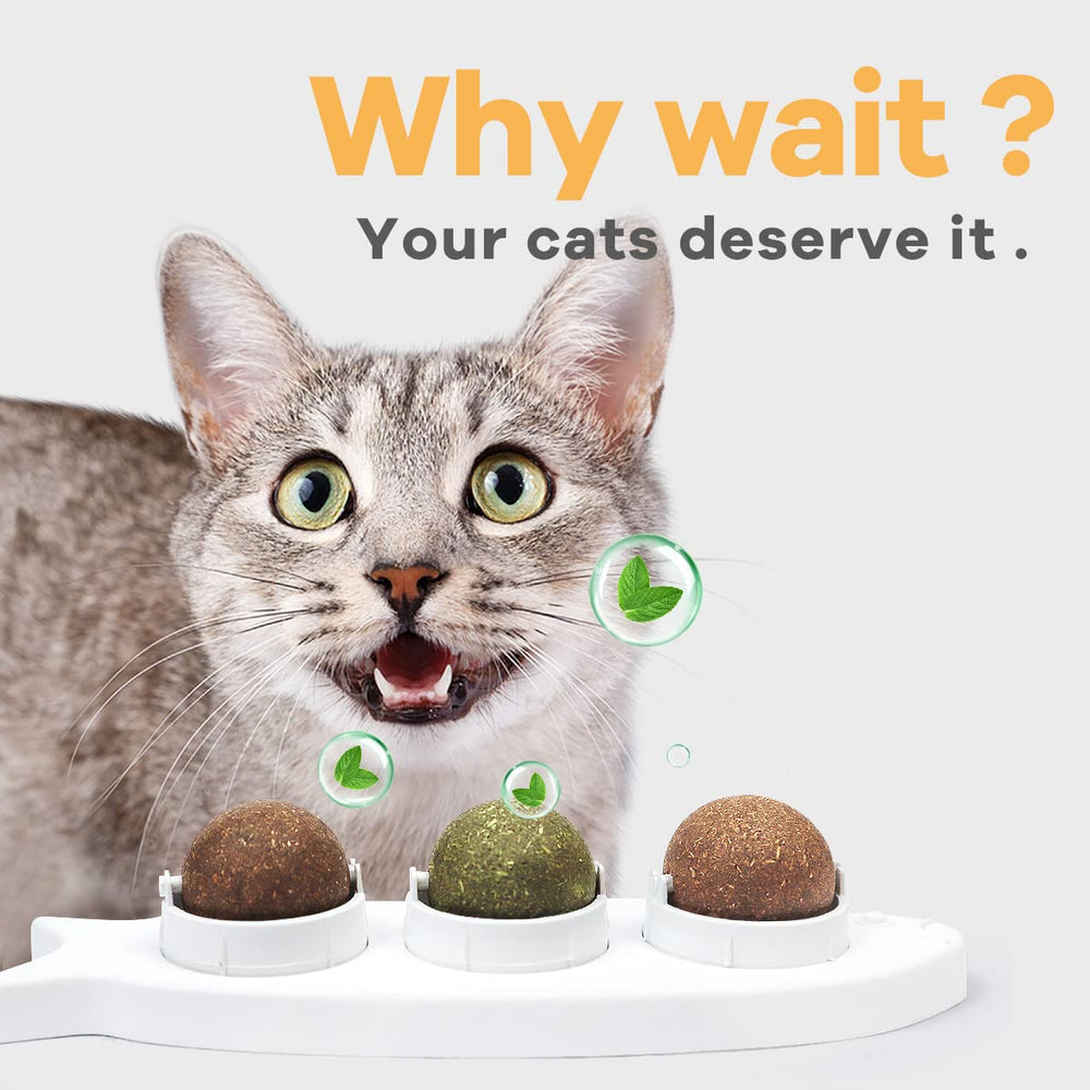 Snow Pet Magic wall ball being chewed by a cat indicating dental-care-inspired play.