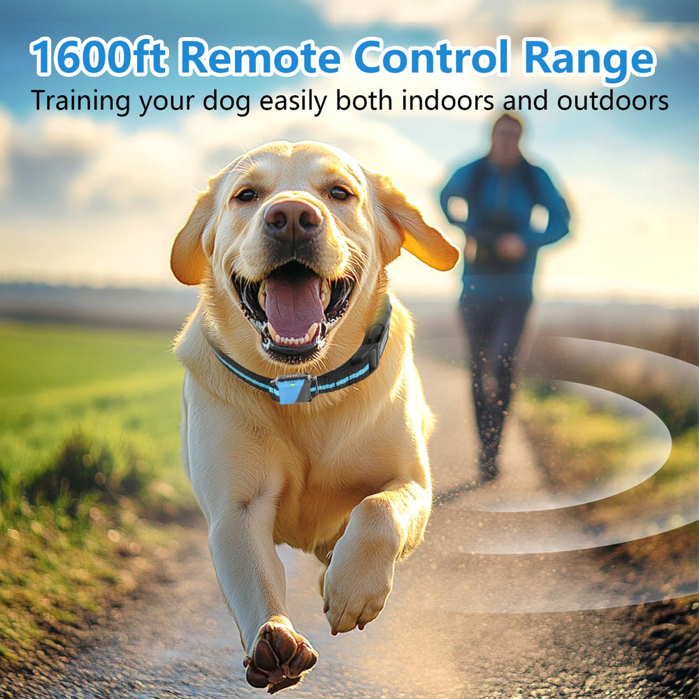 Snsng dog training collar battery display helps monitor charge status.