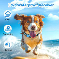 Snsng dog training collar static mode with 16 levels for precise corrections.