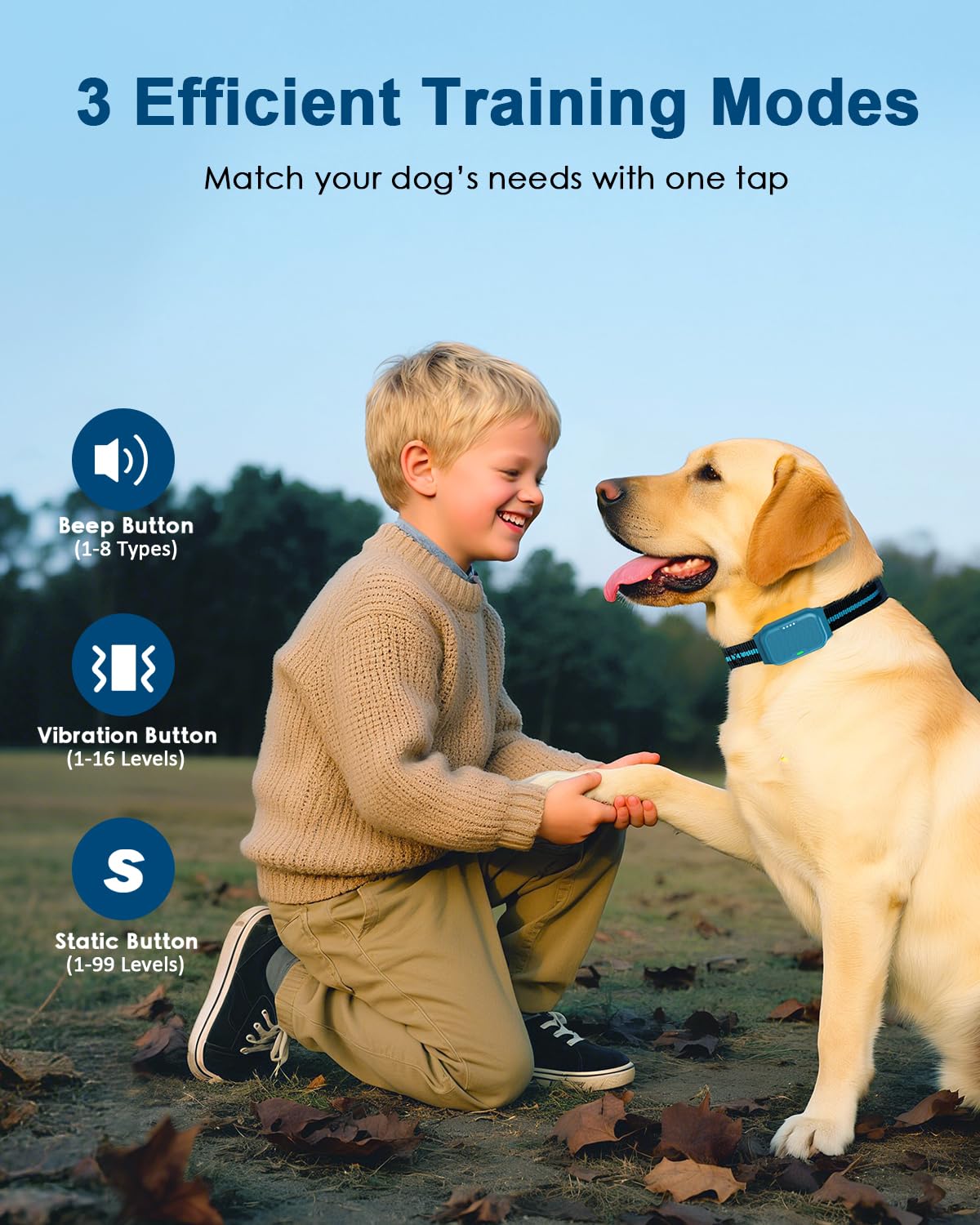 Snsng remote control displaying dual-channel capability for two dogs.