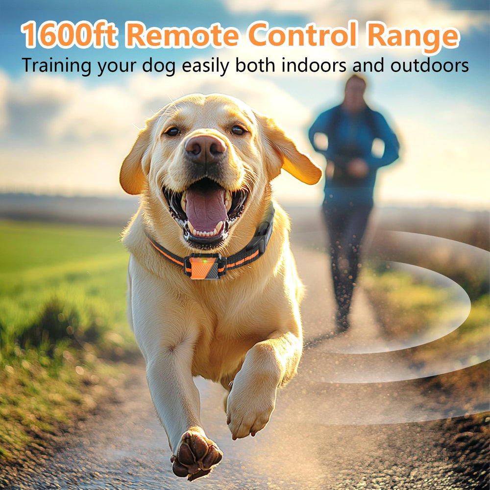 Snsng shock collar Type-C charging makes recharging quick and convenient