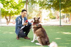 Snug rubber dog ball BPA-free and easy to clean after outdoor adventures.