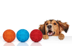 Snug rubber dog balls classic-pack-2 bright color for playful outdoor fetch