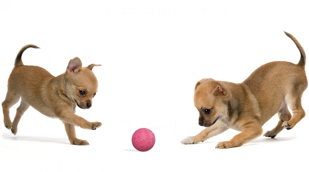 Snug rubber dog balls pink bright color boosts visibility during games