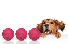 Snug rubber dog balls pink in hand demonstrates easy-to-clean, bite-safe design
