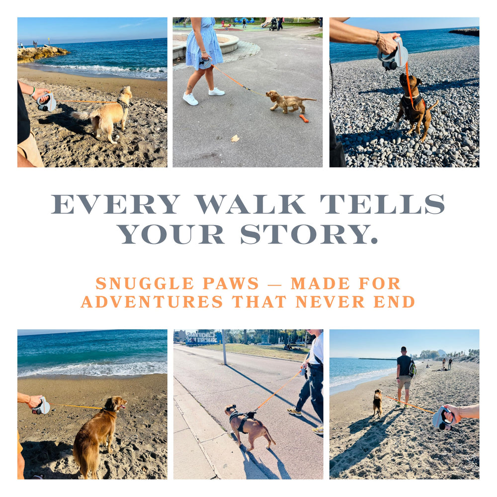 Snuggle Paws all-in-one leash for daily use and training