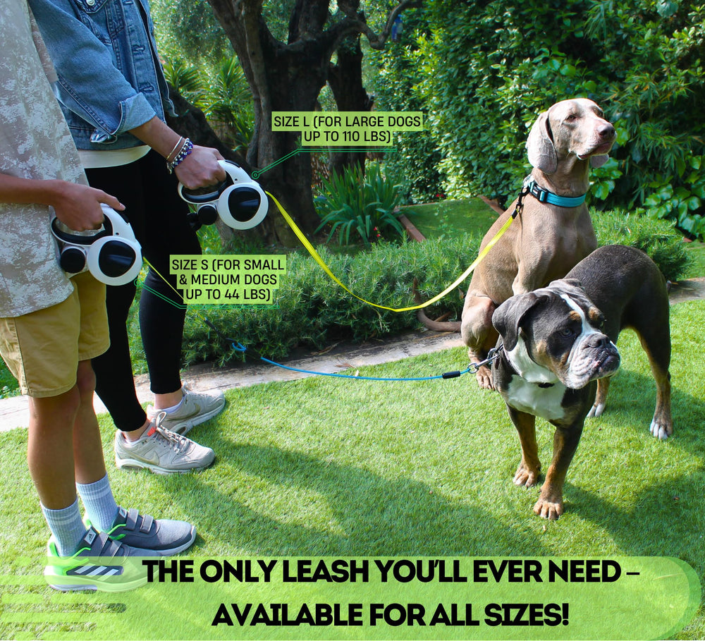 Snuggle Paws built-in poop bag holder keeps cleanup ready.