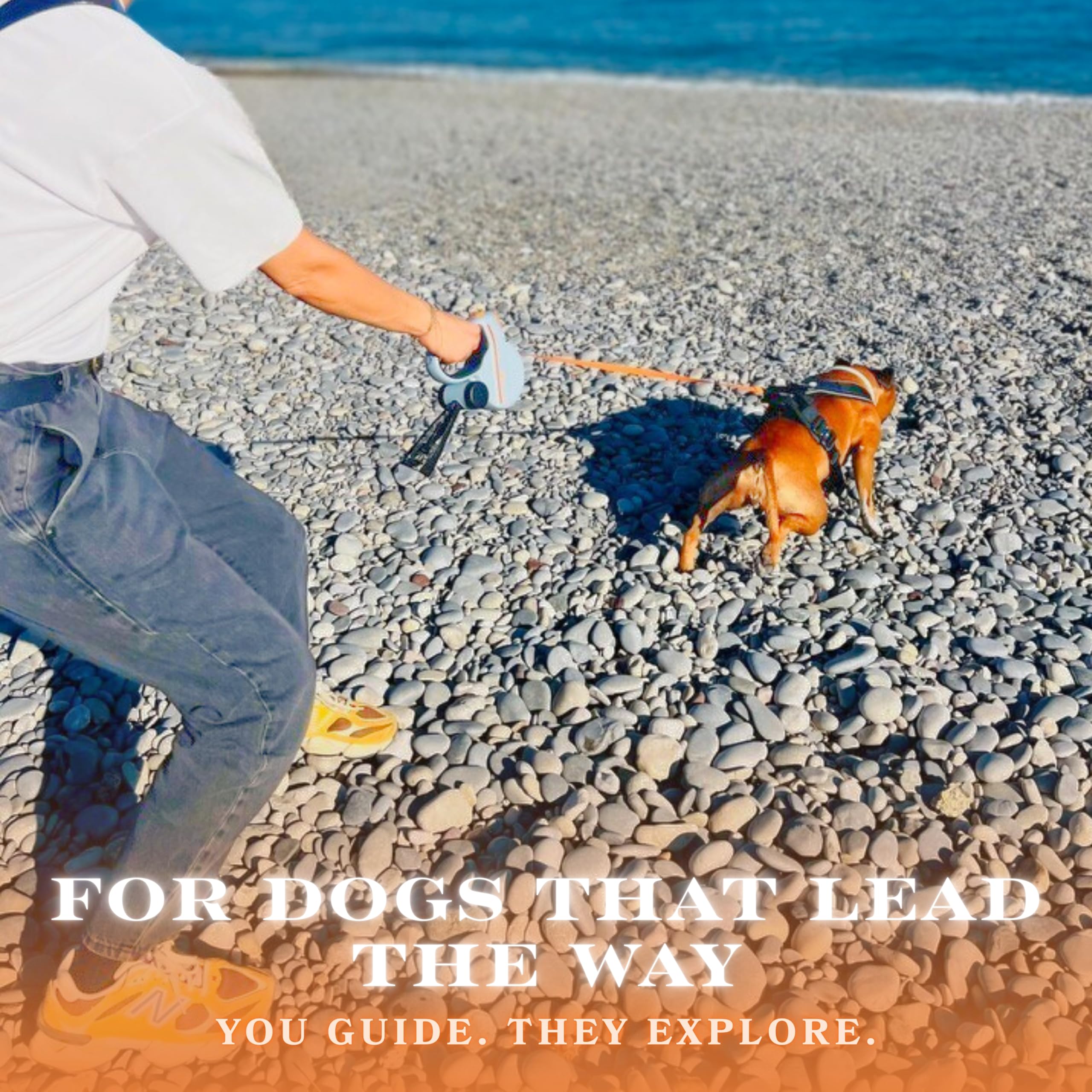 Snuggle Paws lightweight yet sturdy for dogs up to 66 lbs