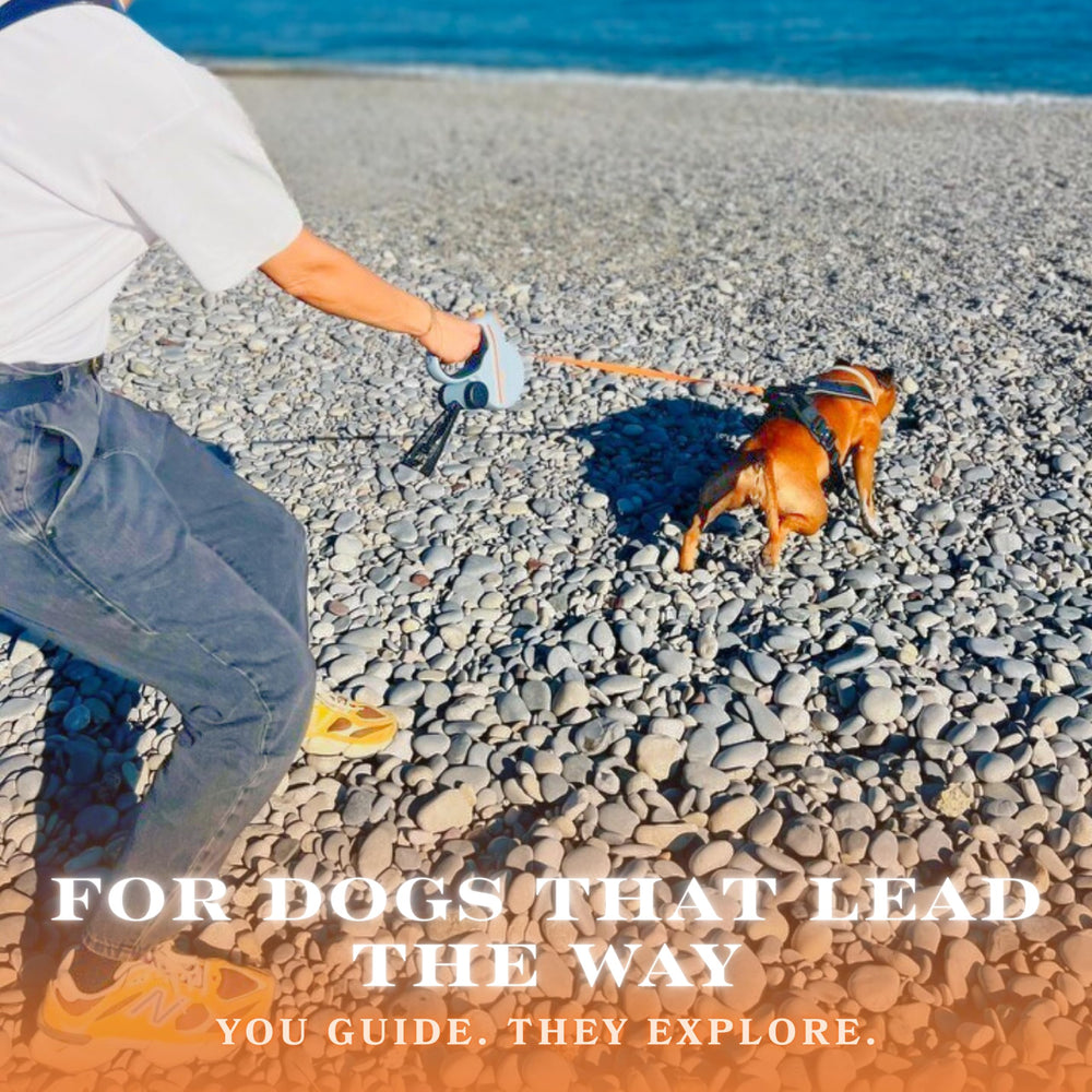 Snuggle Paws lightweight yet sturdy for dogs up to 66 lbs