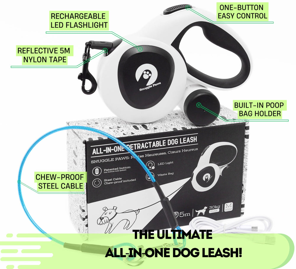 Snuggle Paws leash for medium dogs up to 66 lbs on urban park walks.