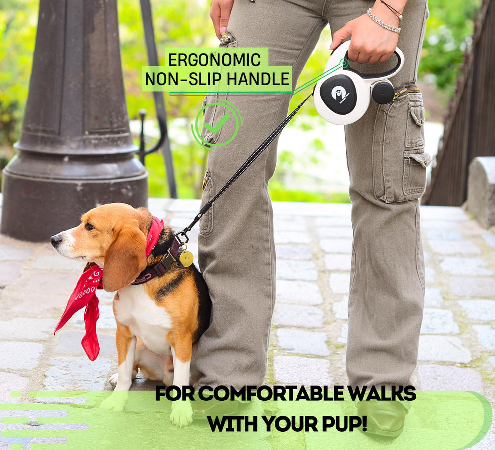 Snuggle Paws night-walk setup with flashlight and reflective tape enhances visibility.