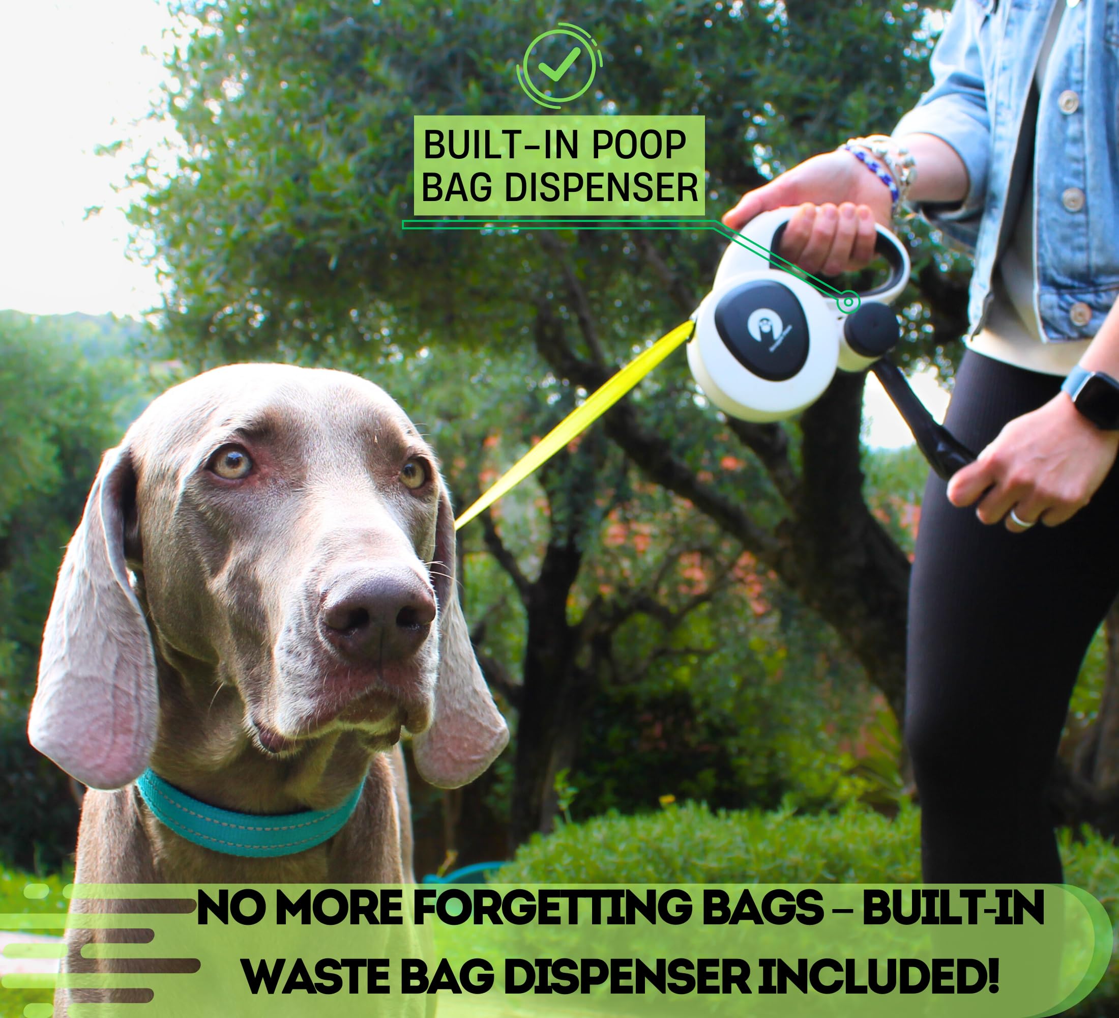 Snuggle Paws No-Tangle 360 Swivel demonstrates knot-free switching during walks.