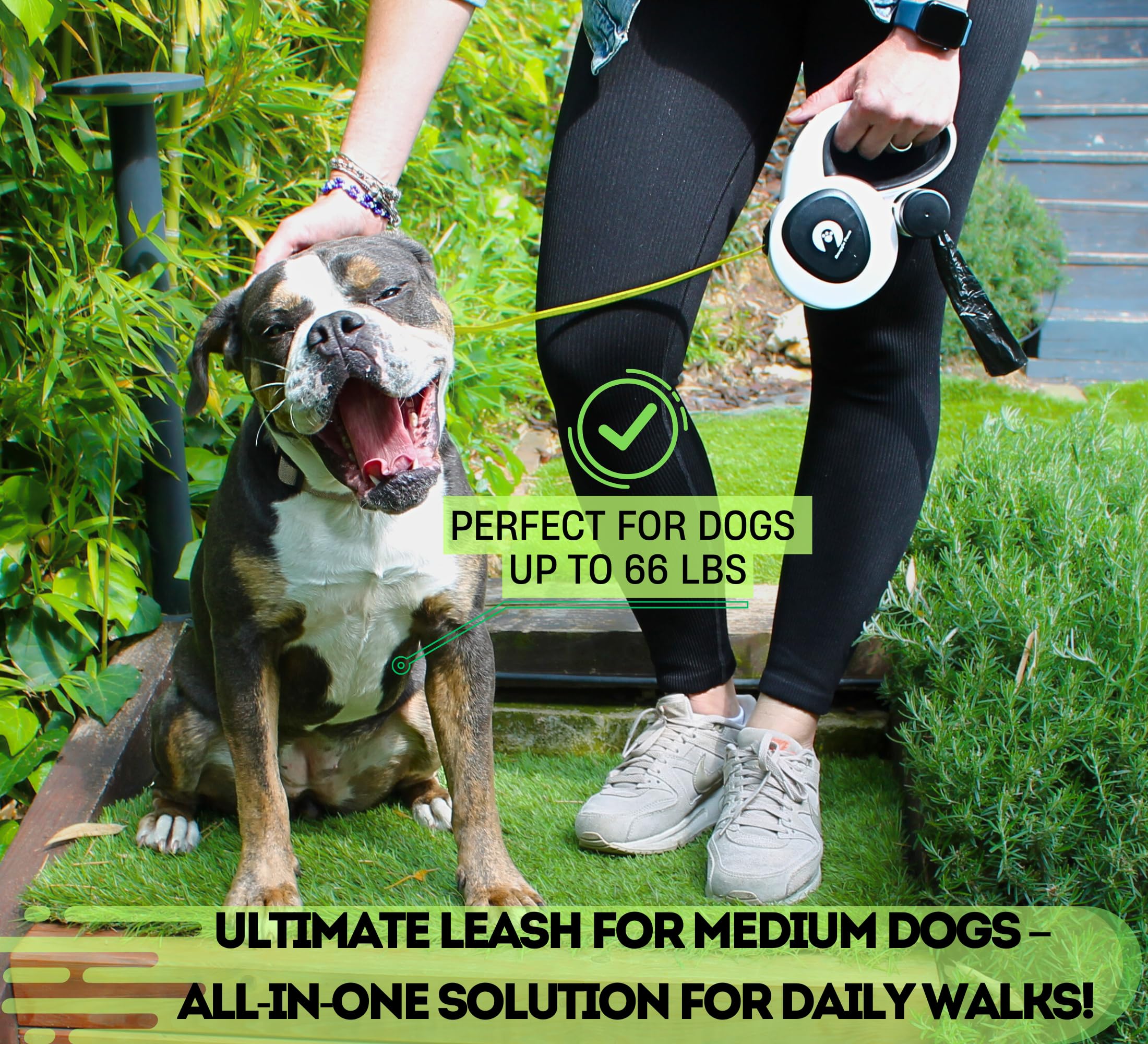 Snuggle Paws reflective tape on leash boosts safety for dusk strolls.