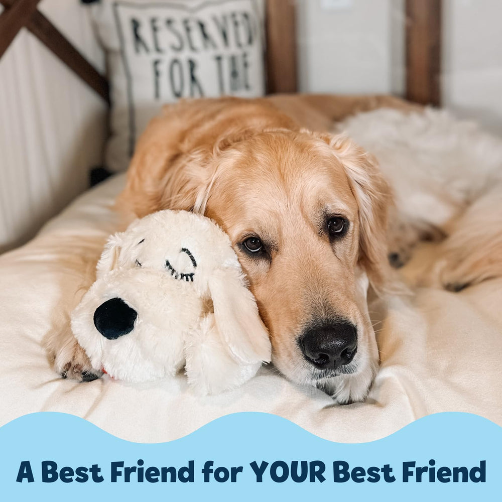 Snuggle Puppy durable construction image underscores long-lasting comfort during play and training.