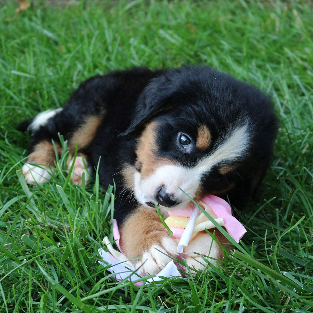 Snuggle Puppy durable machine-washable fabric maintains cleanliness after adventures