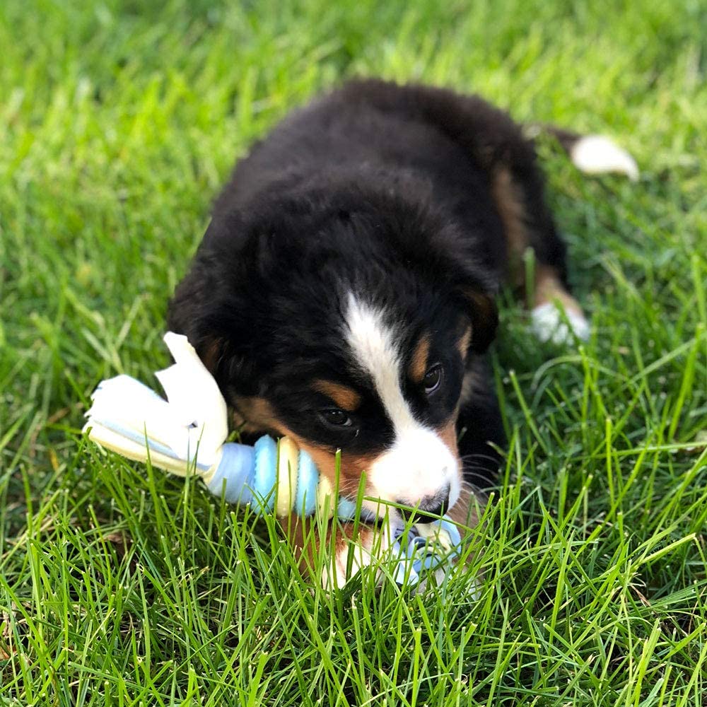 Snuggle Puppy essentials kit imagery presents a ready-to-use gift for pet parents.