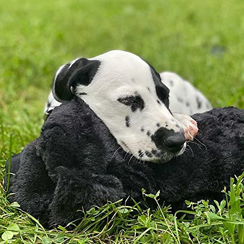 Snuggle Puppy hypoallergenic materials highlighted for safe pet play.