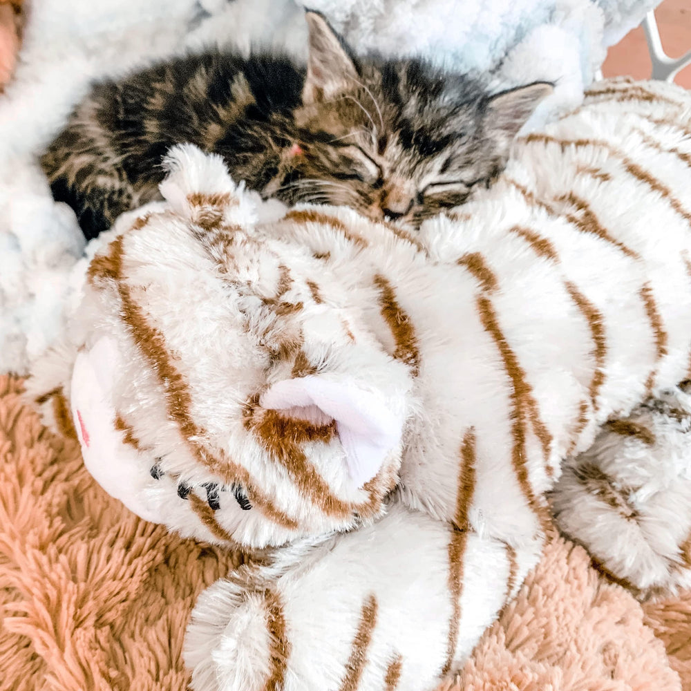 Snuggle Puppy replacement US-based-support offers trusted help for customers.