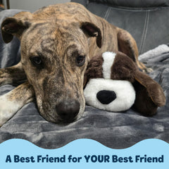 Snuggle Puppy safety-hypoallergenic materials illustrated for pet health