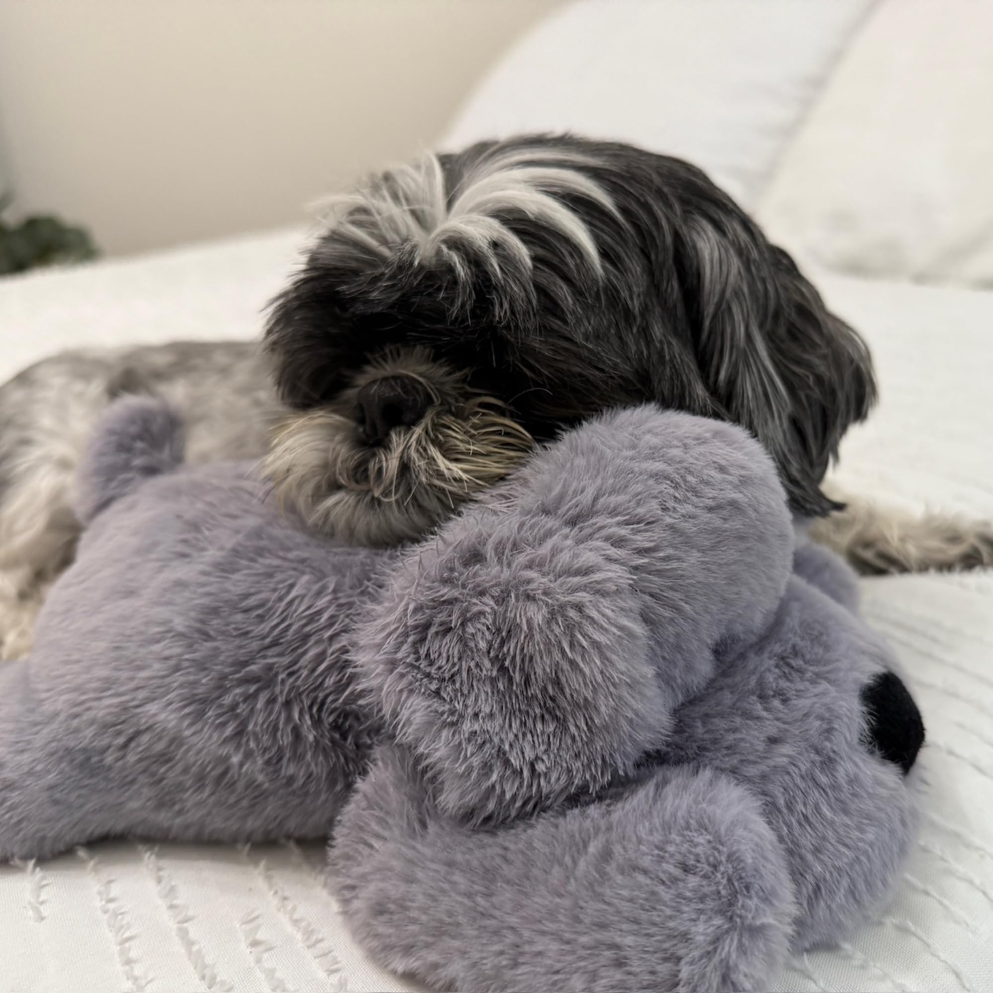 Snuggle Puppy small-breed gift for puppies seeking comfort and calm