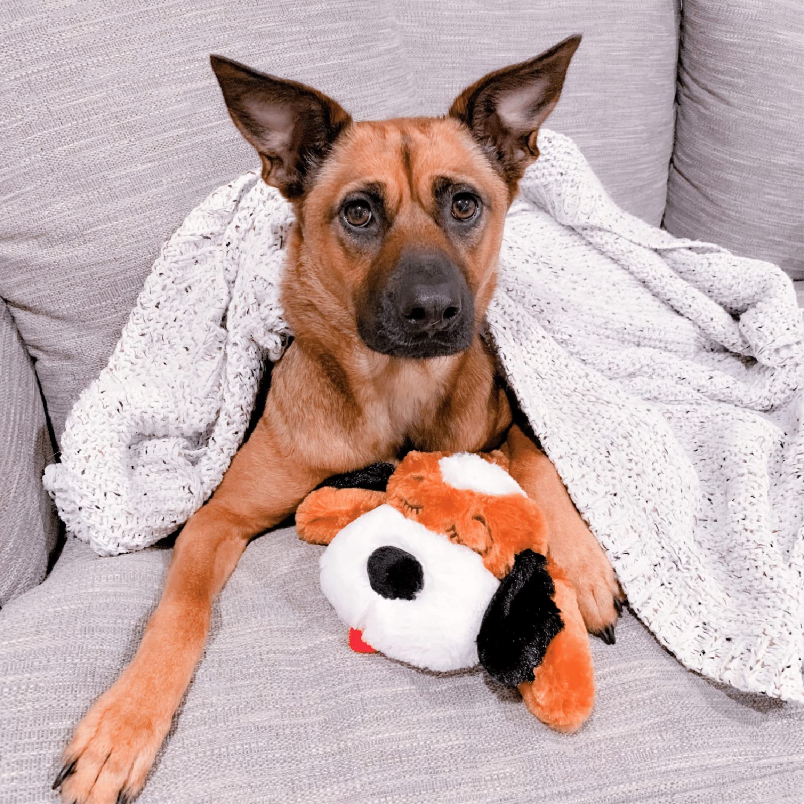 Snuggle Puppy soft plush interior enhances cozy cuddling.