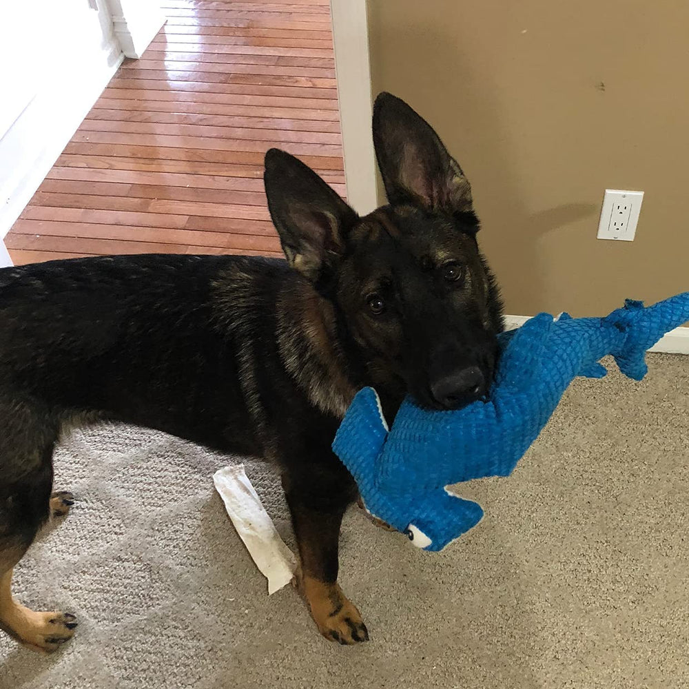 Snuggle Puppy Tender-Tuffs designed for medium to large dogs with a marine shark vibe