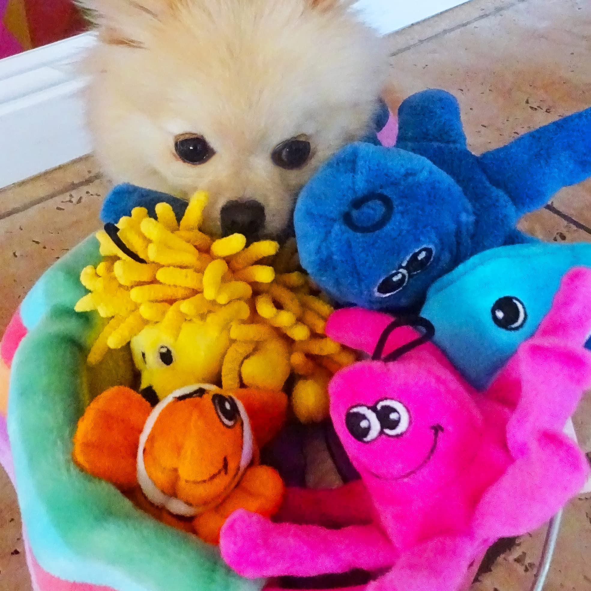 Snuggle Puppy Tender-Tuffs orange clownfish toy TearBlok durability for extended play.