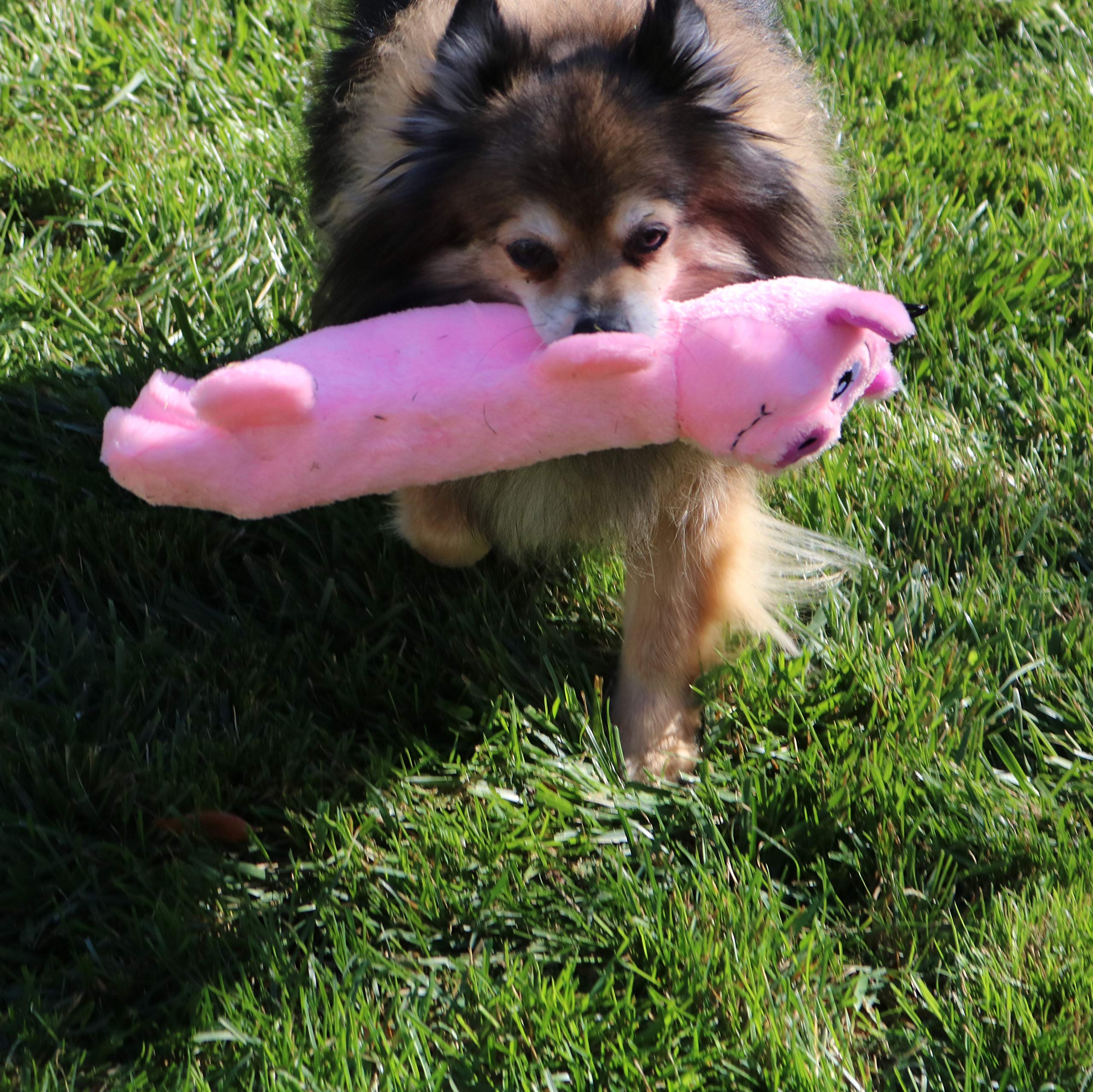 SnugglePuppy Tender Tuffs interactive plush encourages bonding during supervised play