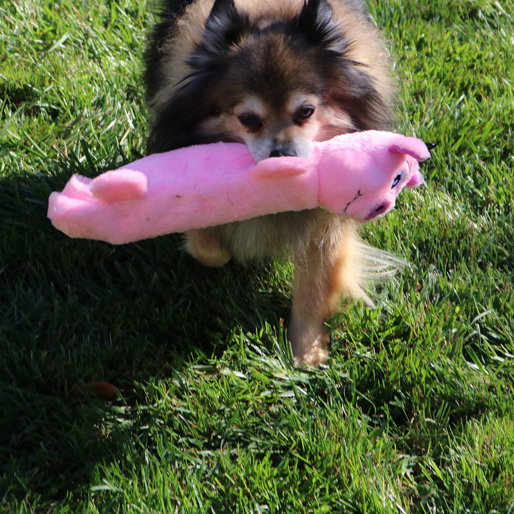 SnugglePuppy Tender Tuffs interactive plush encourages bonding during supervised play