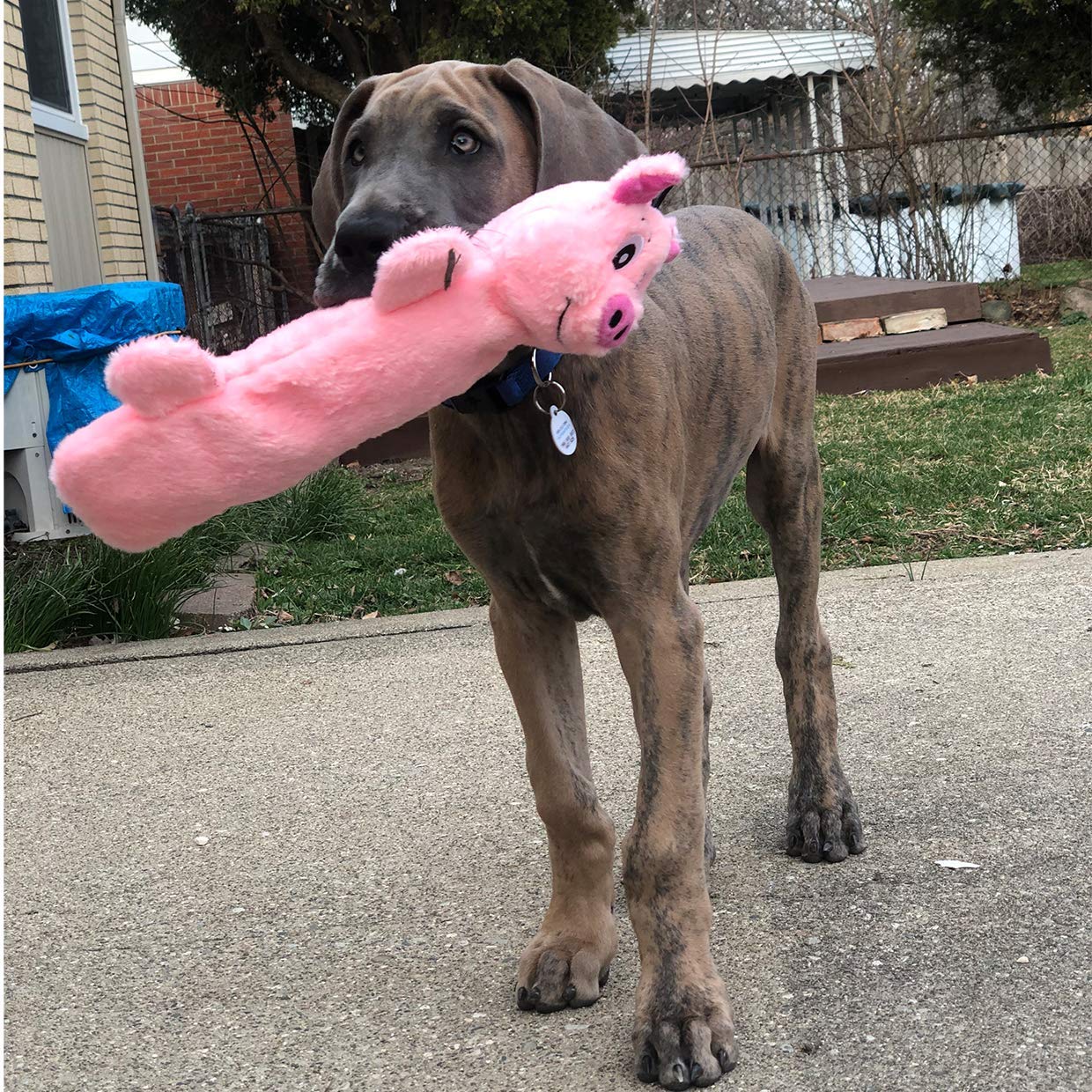 SnugglePuppy Tender Tuffs puncture-squeaker stays durable for long lasting engagement