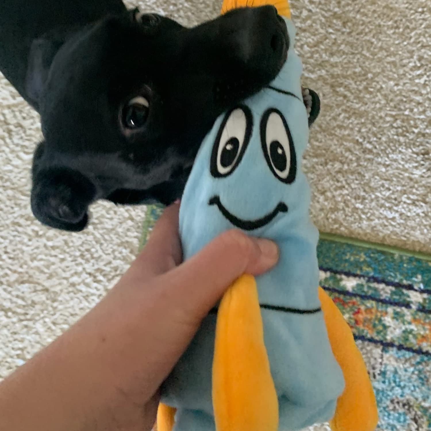 SnugglePuppy Tender-Tuffs water bottle cover toy provides tactile comfort for small dogs during calm sessions.