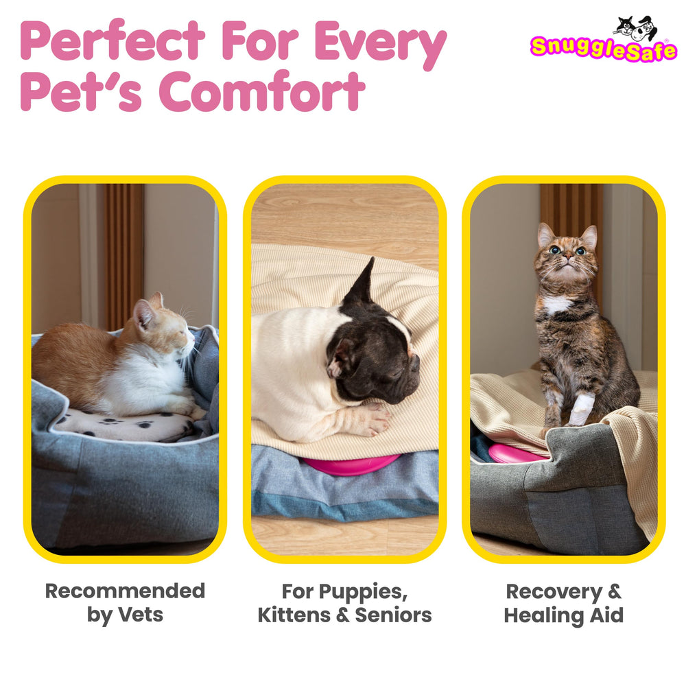 Snugglesafe Original heat pad in kennel to illustrate indoor warmth during chilly nights.
