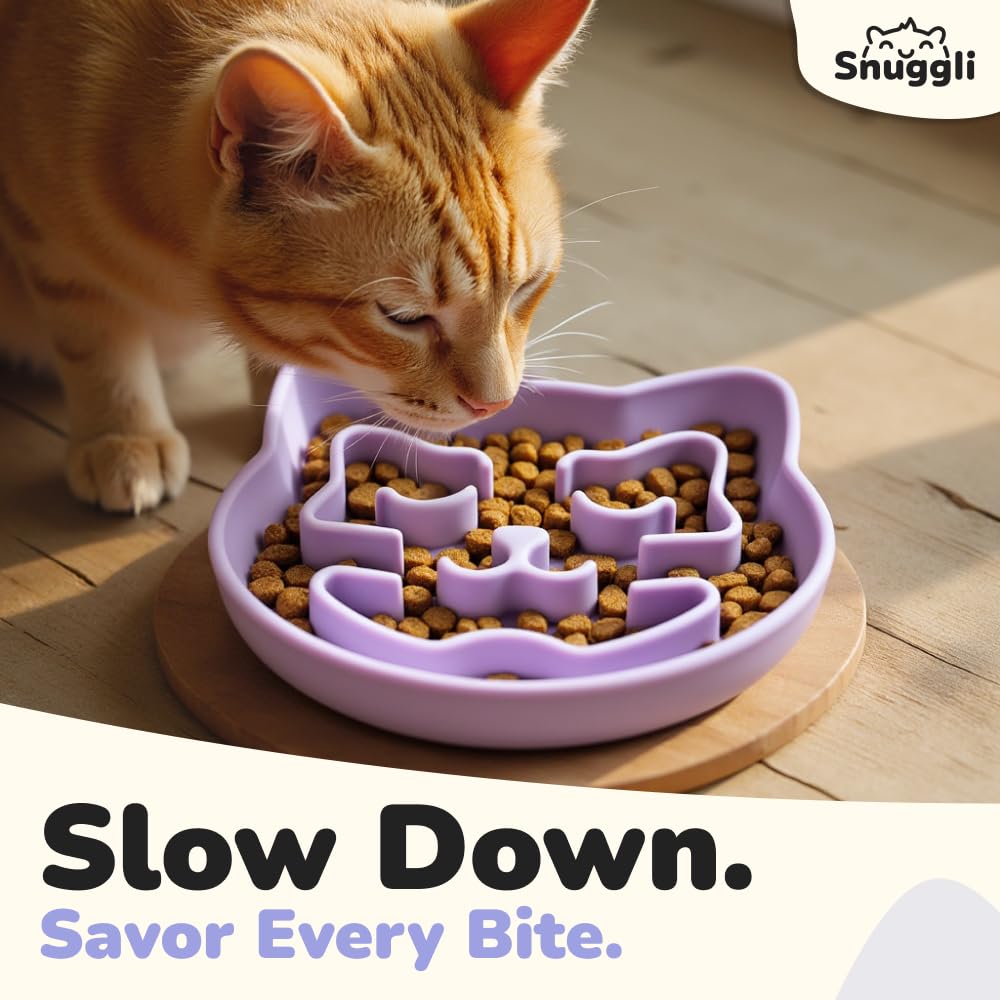 Snuggli slow feeder cat bowl rim detail showcasing enrichment during meals
