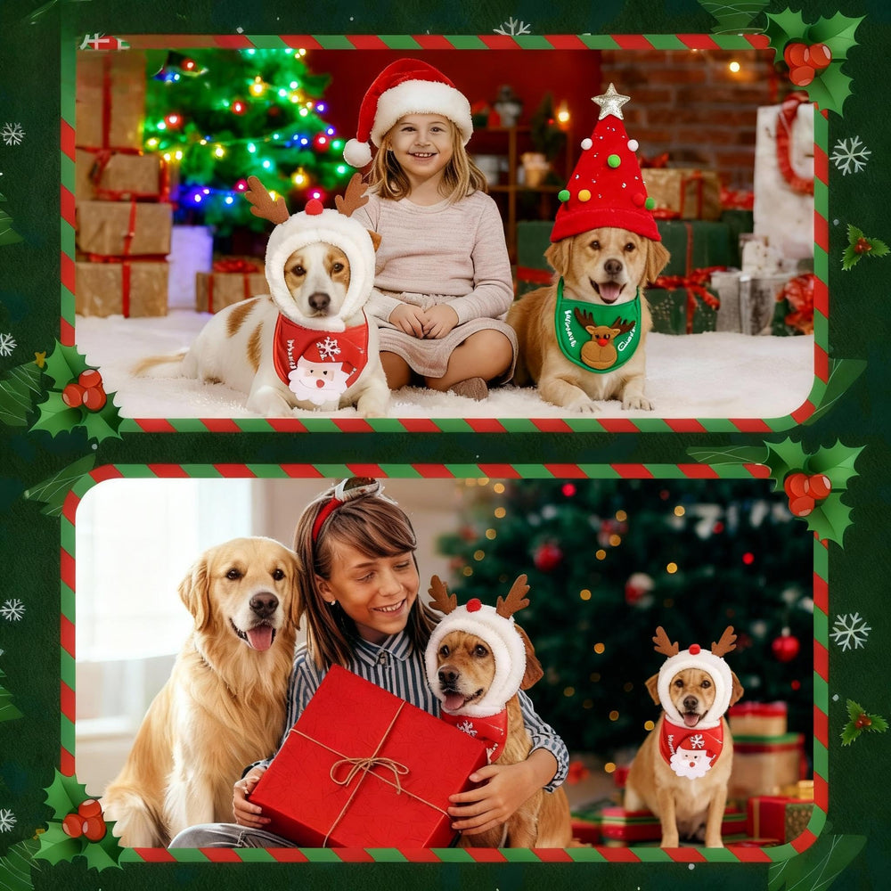 SnugPaws pet wearing set during holiday photos for charming memories.