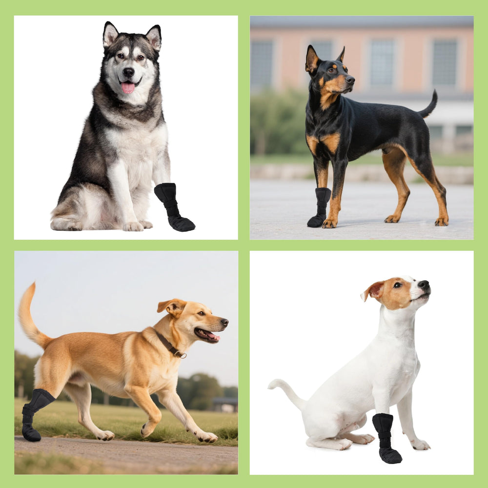 Snugrance dog paw boot machine-washable — easy cleaning between uses