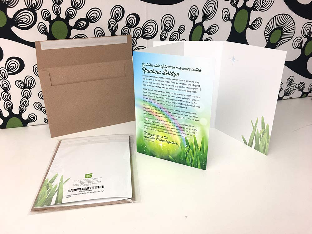 Soapbox Studio Rainbow Bridge card with envelope ready for gifting