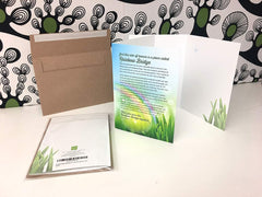 Soapbox Studio Rainbow Bridge card with envelope ready for gifting