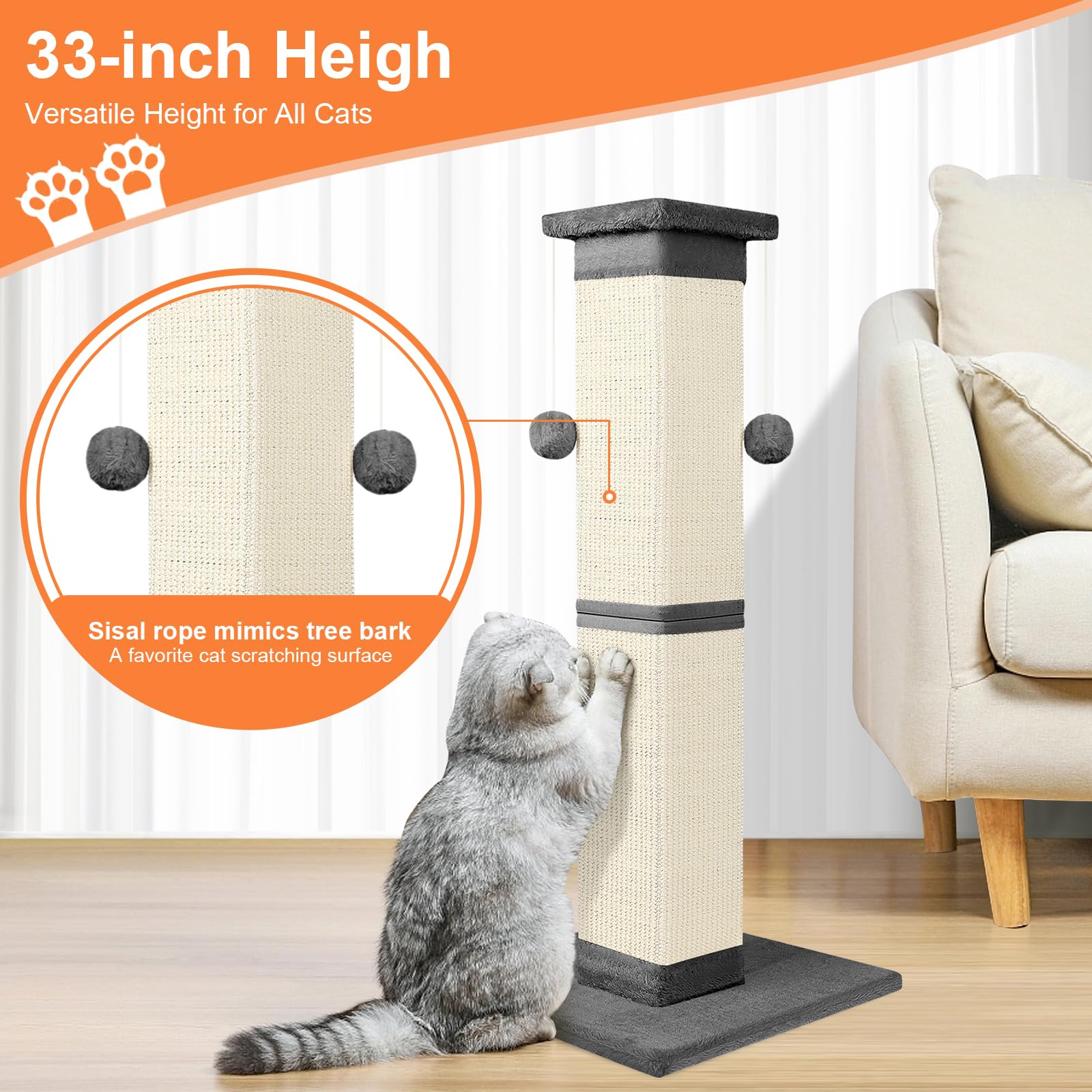 SOCATER all-breeds design supports large cats with height and reach.