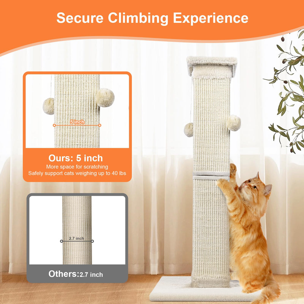 SOCATER five-inch posts create a wide scratching area for persistent claws