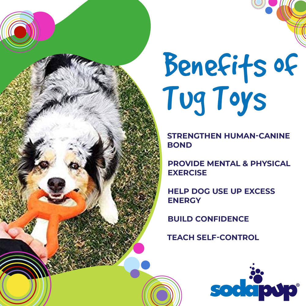 SodaPup tug toy in training setup with handler