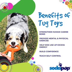 SodaPup tug toy in training setup with handler