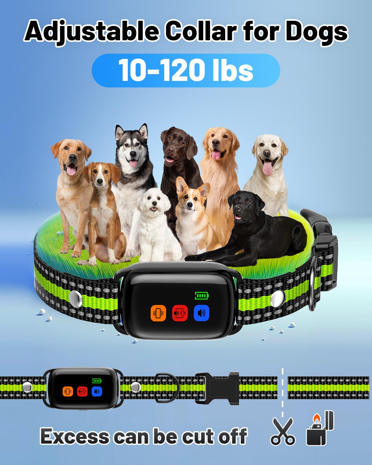 SODOG no-shock collar green dual-channel enables training two dogs with one remote