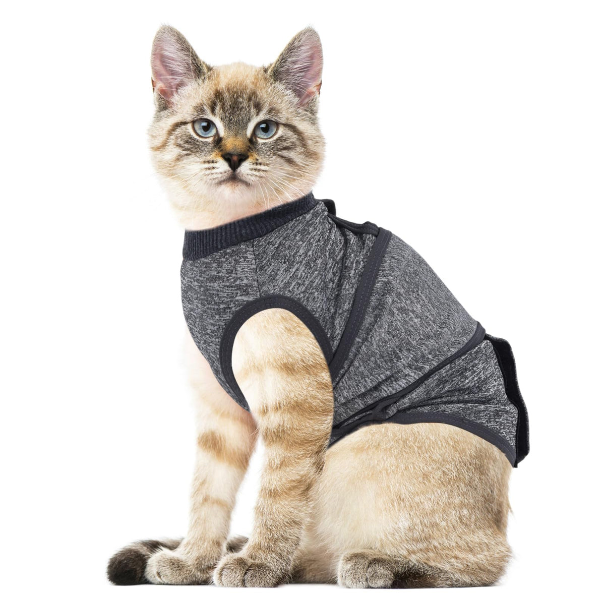 SoeKoa cat anxiety jacket front view highlighting calming wrap for quick stress relief during events