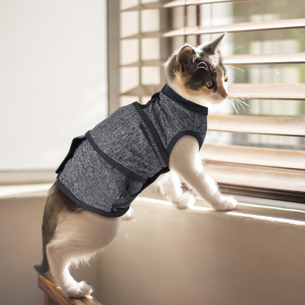 SoeKoa cat anxiety jacket worn on cat captures practical daily calming use